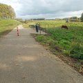 KoMex® BIO Naturel Klundert