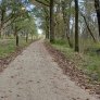 KoMex® BIO Naturel in Huis ter Heide