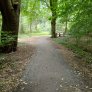 DurEko-mix® im Esterfelder Forst