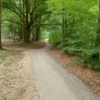 DurEko-mix® im Esterfelder Forst