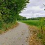 DurEko-mix® im Esterfelder Forst