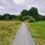 DurEko-mix® im Esterfelder Forst