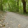 DurEko-mix® im Esterfelder Forst