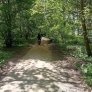 halfverharding fietspad wandelpad Zwolle
